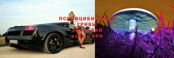 индика Балабаново